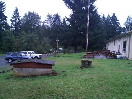 Deer grazing near the clubhouse at the former Chinook Archers range